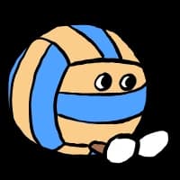 Volleyball